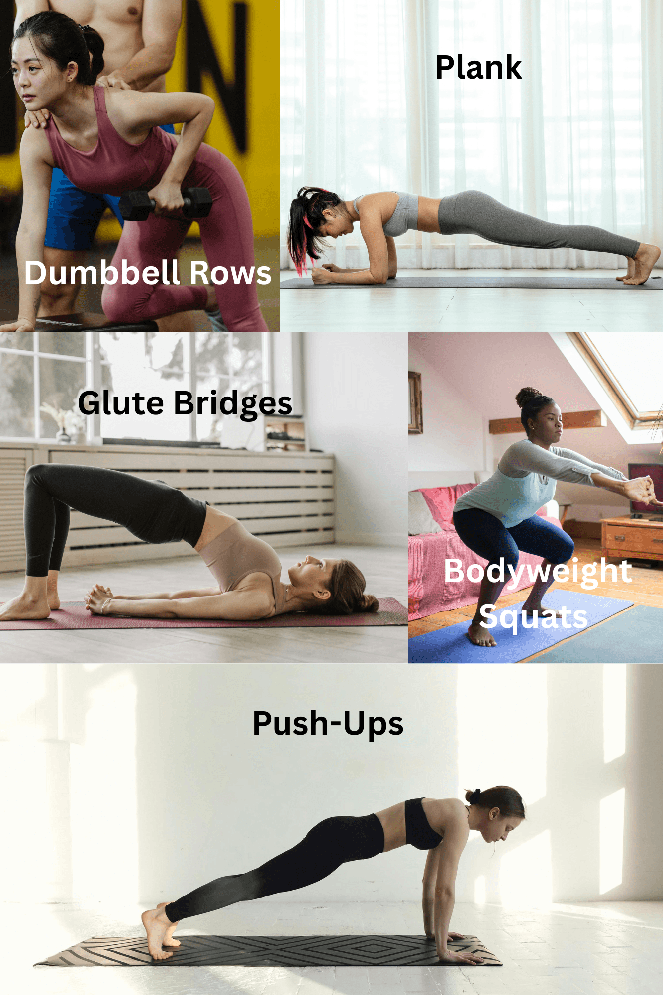 Exercise collage showing beginner exercises from week 1.