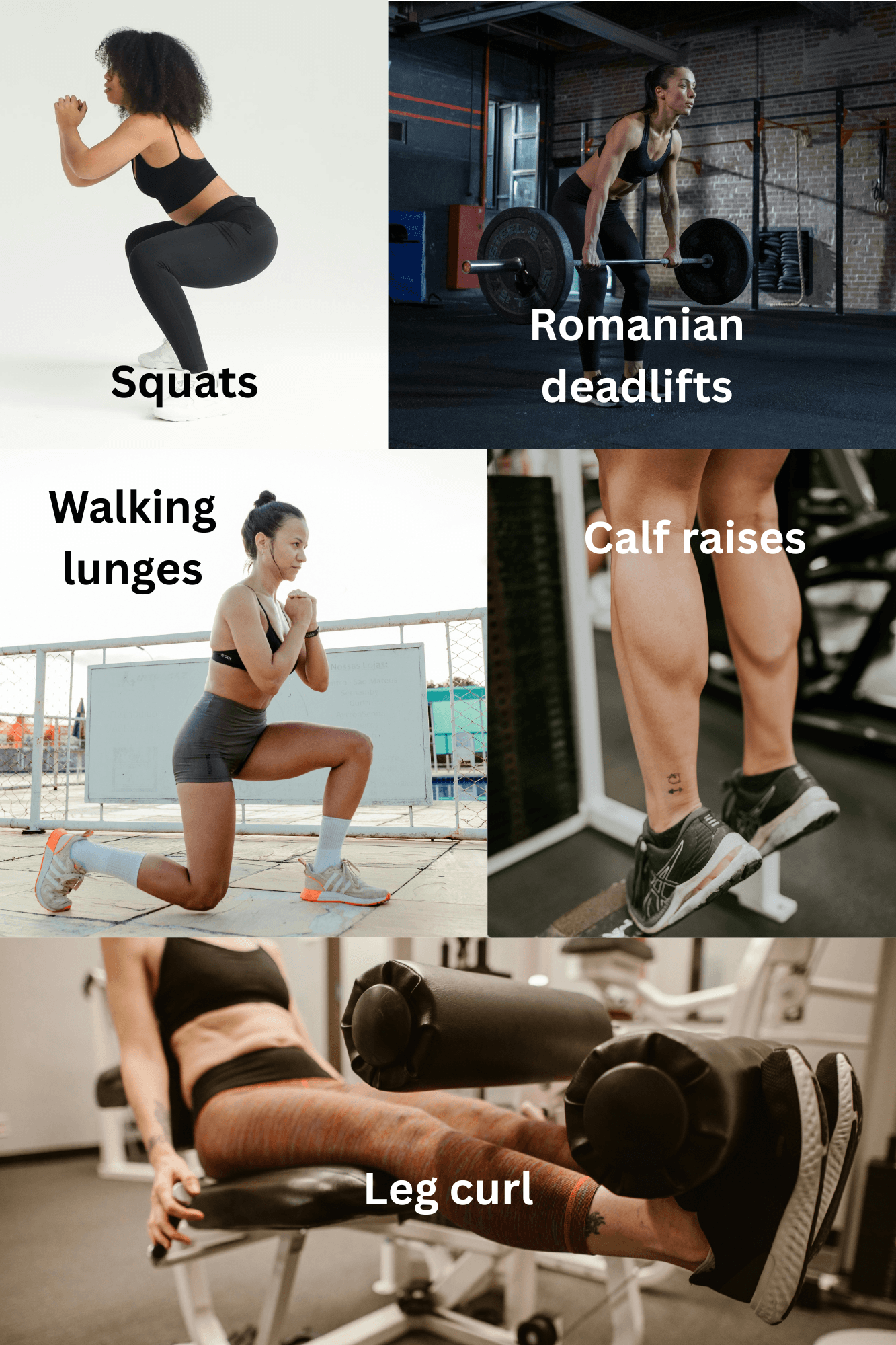 Day 2 exercises from a fat loss workout plan.