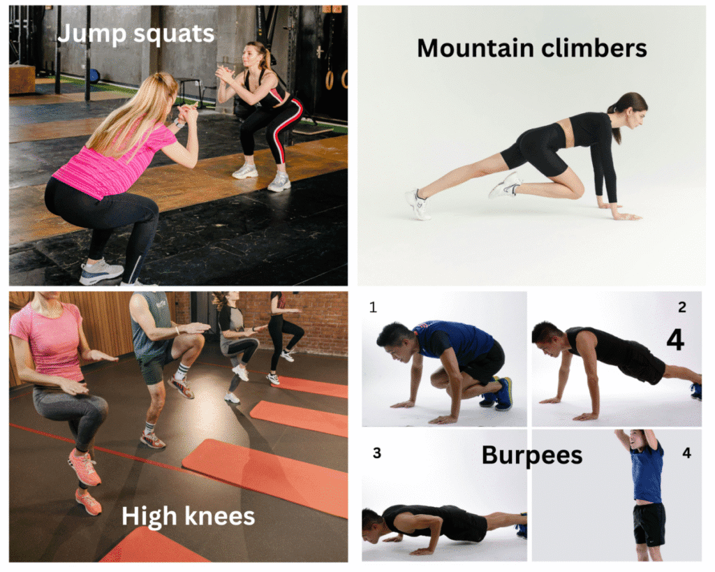 HIIT workout collage featuring burpees, mountain climbers, jump squats, and high knees for burning belly fat