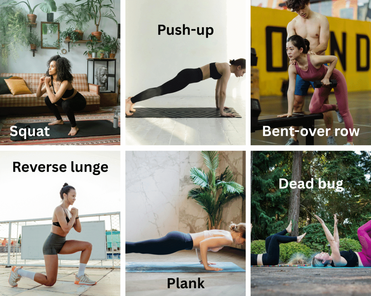 full-body strength and core exercises including squats, push-ups, rows, lunges, plank and dead bug