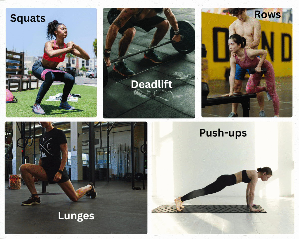 collage of strength-based exercises including squats, lunges, deadlifts, push-ups, and rows for full-body fat loss